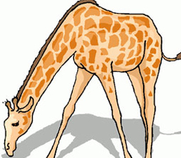 giraffe feeding cartoon