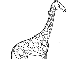 giraffe to color